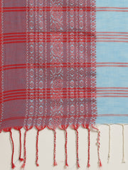 Sky Blue & Red handloom saree